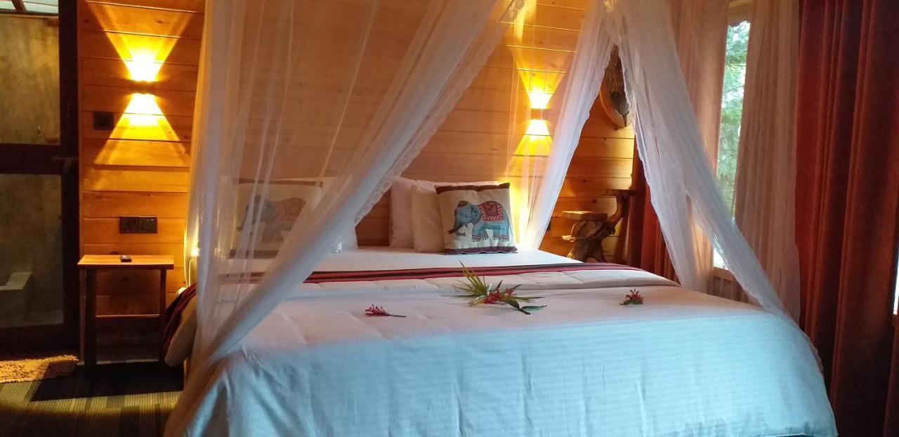 Mc Queen Homestay Ella Bagian luar foto