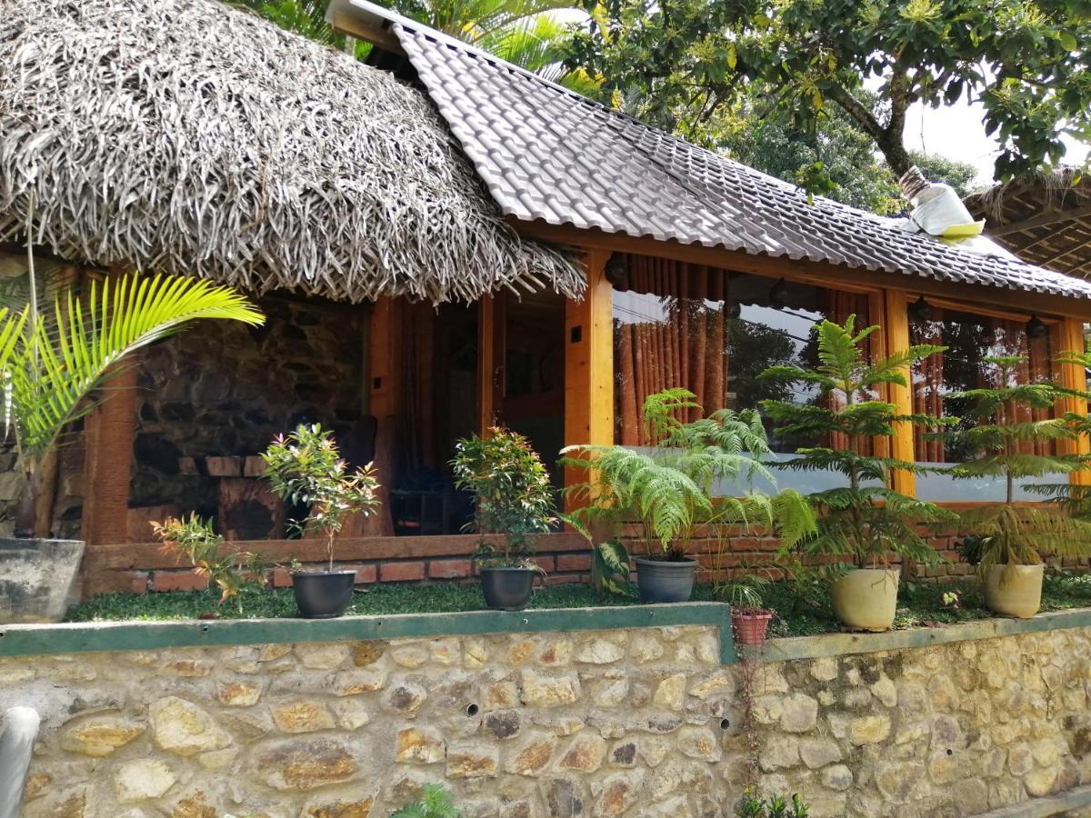 Mc Queen Homestay Ella Bagian luar foto